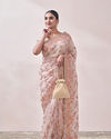 Light Cream Embroidered Saree