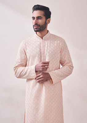 alt message - Twamev Men Perfect Gajaree Chikankari Kurta Set image number 0