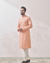 Classy Gajaree Chikankari Kurta Set image number 3