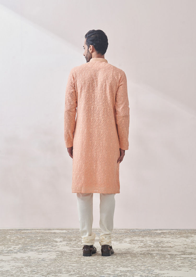 Twamev Men Classy Gajaree Chikankari Kurta Set