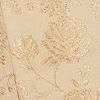 Bold Biscuit Indo Western Set