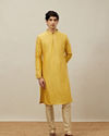 alt message - Manyavar Men Aurora Gold Vertical Patterned Kurta Set image number 2