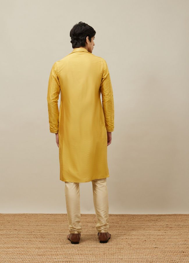 alt message - Manyavar Men Aurora Gold Vertical Patterned Kurta Set image number 4