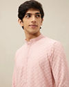 Rosewater Pink Chikankari Patterned Kurta Set