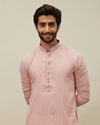 Cherry Blossom Pink Vertical Patterned Kurta Set