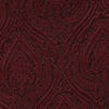 Cabernet Red Achkan Style Indo Western Set