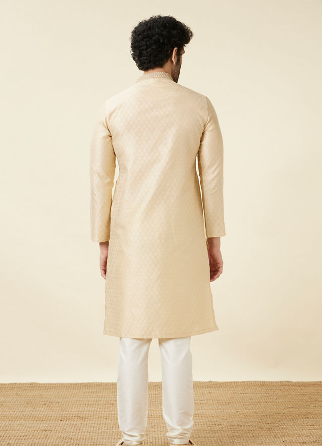 alt message - Manyavar Men Sand Beige Leaf Patterned Kurta Set image number 5