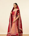 Mohey Women Dark Red Velvet Embroidered Bridal Lehenga