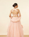 Mohey Women Peach Pink Net Floral Patterned Lehenga