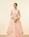 alt message - Mohey Women Peach Pink Net Floral Patterned Lehenga image number 0