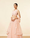 Mohey Women Peach Pink Net Floral Patterned Lehenga