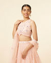 alt message - Mohey Women Peach Pink Net Floral Patterned Lehenga image number 1