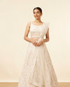Dark Cream Bel Buti Patterned Bridal Lehenga