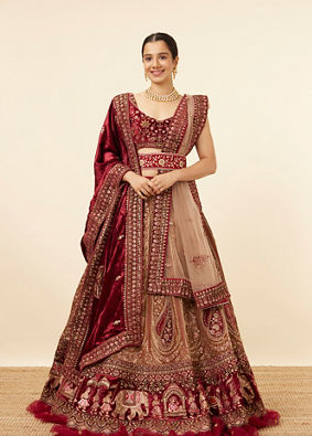 Punjabi wedding dress hot sale for bride