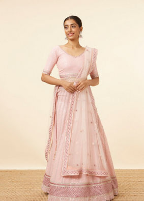 Rosewater Pink Sequined Lahenga image number 0