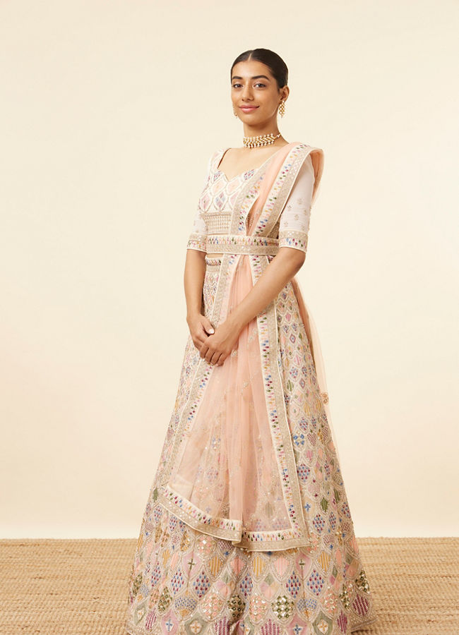Mohey Women Dark Cream Multi colored Lehenga