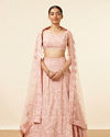 Light Pink Grey Embroidered Lehenga