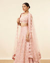 Mohey Women Light Pink Grey Embroidered Lehenga