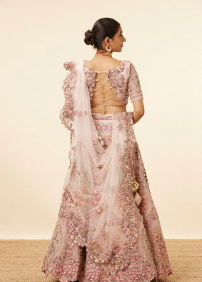 Light Pink Embroidered Pastel Lehenga image number 3