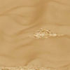 Regal Beige Celebration Dupatta