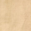Gold Tissue Dupatta with Embroidery