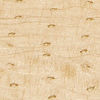 Biscuit Beige Sitara Work Dupatta