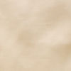 Champagne Satin Dupatta with Embroidery
