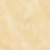 Creamy Radiance Dupatta