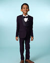 Manyavar Boys Purple Festive Suit Set