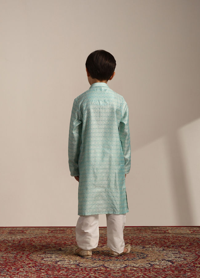 Boys Sky Blue Petal Printed Kurta Set image number 5