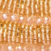 Golden Elegance Bag