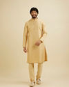 Manyavar Men Light Fawn Kurta Set with Patra Work image number 2