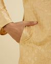 Manyavar Men Light Fawn Kurta Set with Patra Work