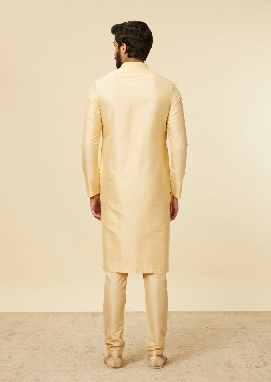 alt message - Twamev Men Golden Fawn Classic Kurta Set image number 4