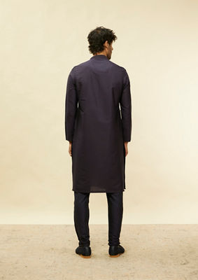 alt message - Twamev Men Elegant Blue Mandarin Collar Kurta Set image number 4