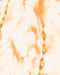 Enigmatic Cream Kurta Jacket Set