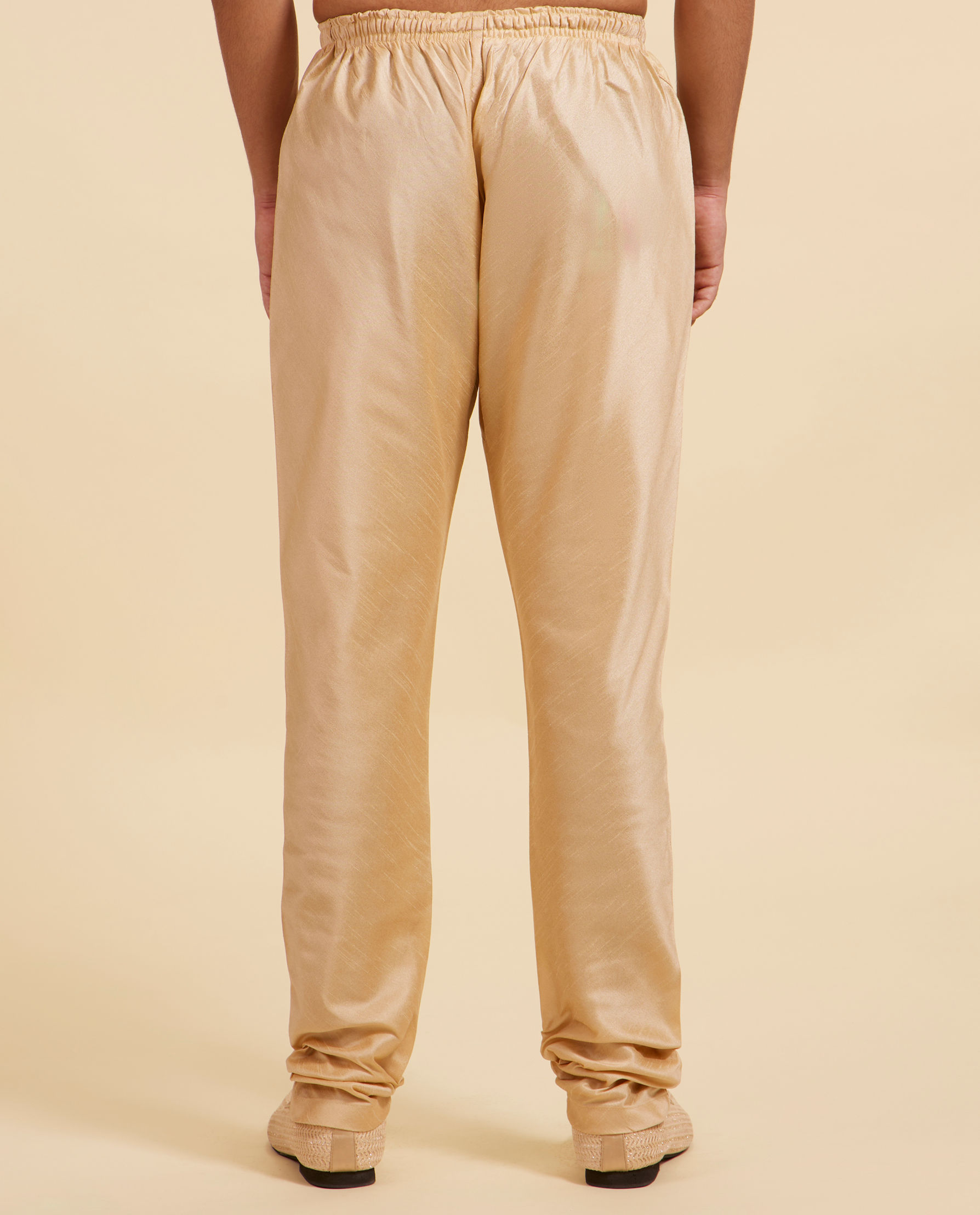 Diwas Men Fawn Churidar Pants