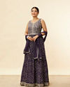 Grape Purple Embroidered Empire Line Anarkali Suit