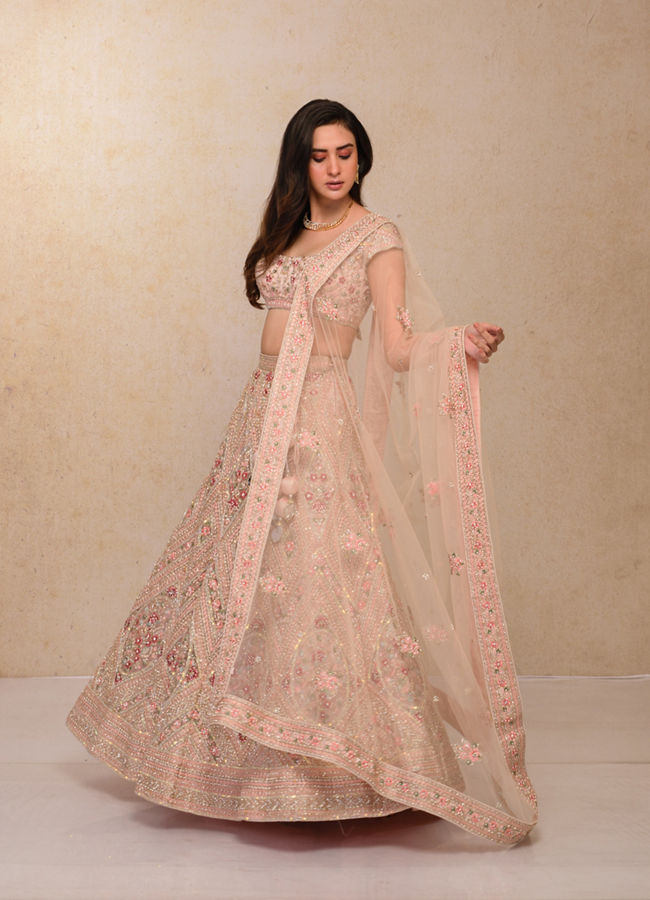 alt message - Mohey Women Blush Pink Embellished Lehenga image number 1