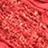 Elegant Red Dupatta
