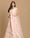 alt message - Mohey Women Detailed Pink Lehenga image number 2