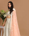 Mohey Women Light Colored Chiffon Lehenga