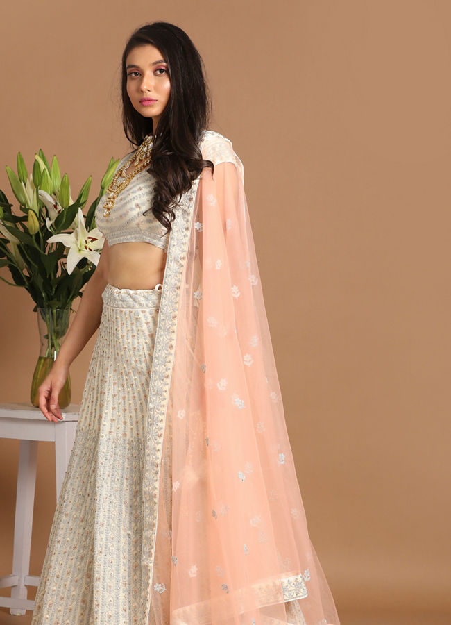 Mohey Women Light Colored Chiffon Lehenga
