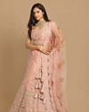 Mohey Women Elegant Pink Designer Bridal Lehenga
