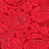 Rani Pink Net Saree