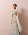 Light Pista Embellished Bridal Lehenga image number 2