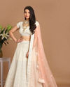 Mohey Women Light Colored Chiffon Lehenga
