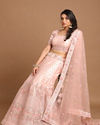 alt message - Mohey Women Light Pink Embellished Lehenga image number 0