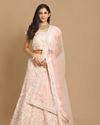 Mohey Women Detailed Pink Bridal Lehenga image number 0