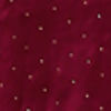 Wine Stone Embellished Satin Saree